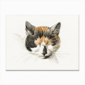 Head Of A Calico Cat With Closed Eyes, Jean Bernard Canvas Print