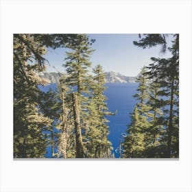 Crater Lake Forest Canvas Print