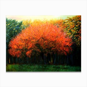 Autumn Tree in Laren (2013) Canvas Print