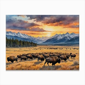 Bison Herd Grasslands 1 Canvas Print