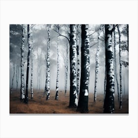 Misty Forest 1 Canvas Print
