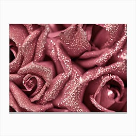 Pink Roses 8 Canvas Print