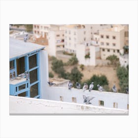 Pigeons In The City Canvas Print