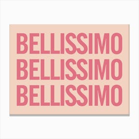 Bellissimo - Blush And Pink Canvas Print
