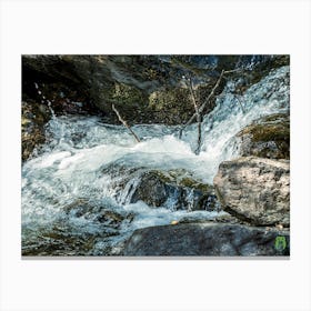 Waterfall In The Woods 202308181543239pub Canvas Print