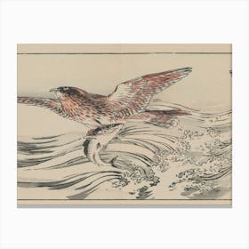 Japanese Hawk Canvas Print