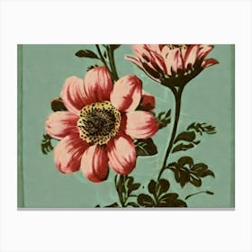 Two Pink Flowers Canvas Print