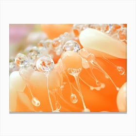 Water Droplets On A Flower Canvas Print