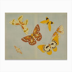 A Thousand Kinds Of Butterflies, Kamisaka Sekka Canvas Print