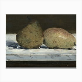 Two Pears 1 Canvas Print