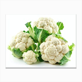 Cauliflower 18 Canvas Print