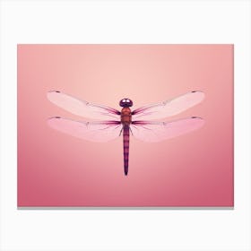 Dragonfly Roseate Skimmer Orthemis 7 Canvas Print