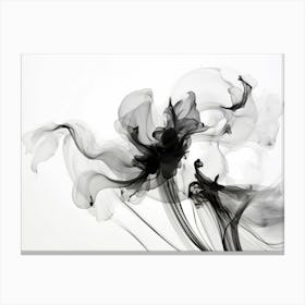 Ephemeral Beauty Abstract Black And White 2 Canvas Print