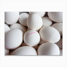 White Eggs 5 Canvas Print