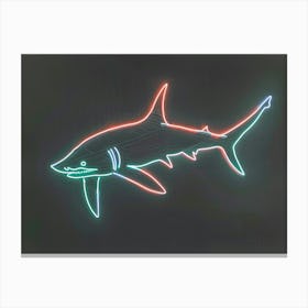 Neon Thresher Shark  5 Canvas Print