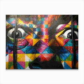 Face Of A Graffiti Artist Canvas Print