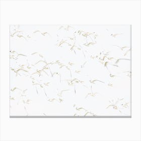 Seagulls Flying Over Beach Canvas Print