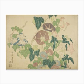 Morning Glory, Katsushika Hokusai Canvas Print