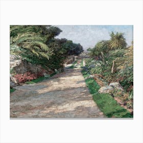 Garden Path 1 Canvas Print