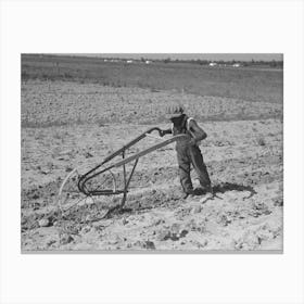 Untitled Photo, Possibly Related To New Madrid County, Missouri,Child Of Sharecropper Cultivating Cotton By Canvas Print