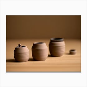 Clay Pots Canvas Print