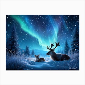 Aurora Borealis Canvas Print