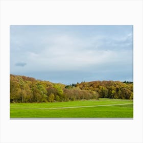 Field With Trees 12 Canvas Print