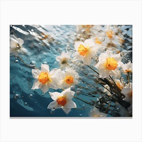 Water Daffodils 1 Canvas Print