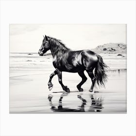 A Horse Oil Painting In Camps Bay Beach, South Africa, Landscape 3 Canvas Print