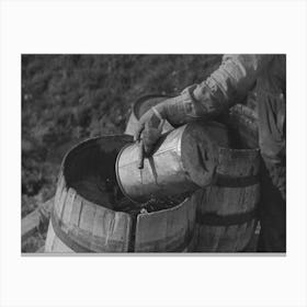 Filling Barrels With Spring Water To Be Used On His Farmstead, Herman Gerling,Wheelock, North Dakota By Russell Lee Canvas Print