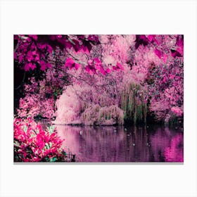 Pink City Park Canvas Print