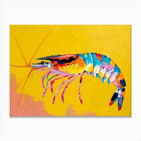 Prawn 3 Canvas Print