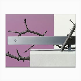 Tree Branches On A Wall Canvas Print