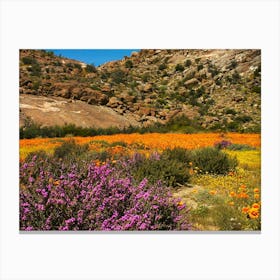 Wildflowers In The Desert Canvas Print