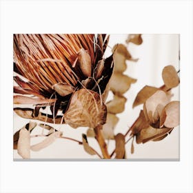 Protea Flower Arrangement Canvas Print