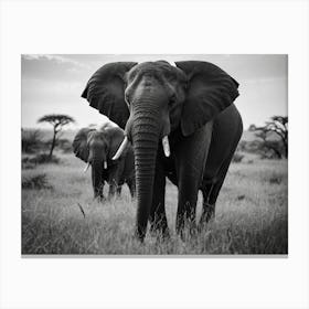 Two Elephants In The Grass Canvas Print