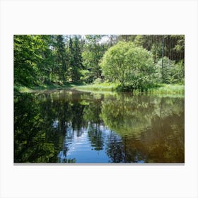 Summer reflection in the forest Canvas Print
