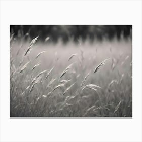 A Black And White Photograph Of Tall Grasses Blowing In The Wind, Representing A Natural Scene With A Sense Of Peace And Tranquility Canvas Print