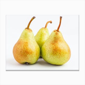 Pears On White Background Canvas Print