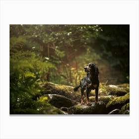 Cocker Spaniel In The Forest- Scotland Highland UK dog photo print - moody animal photography Canvas Print