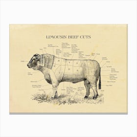 Limousin Beef Cuts Butcher Cuts Chart Canvas Print