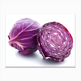 Red Cabbage (11) Canvas Print