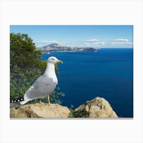 Seagull and rocks on the Mediterranean coast Canvas Print