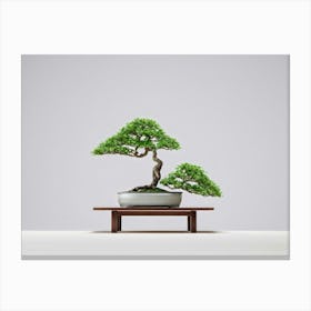 Bonsai Tree Delicate Elegant Branches Set In A Serene Minimalist Scene Hues Of Softly Muted Gre Canvas Print