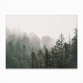 Oregon Forest Scenery Canvas Print