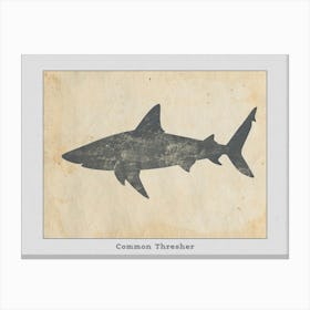 Common Thresher Shark Silhouette 1 Poster Canvas Print