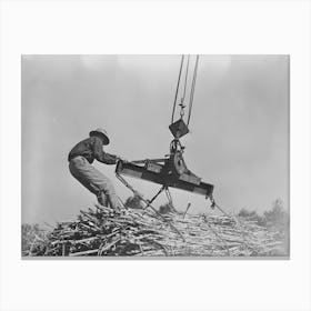 Placing Ropes Into Position For Hoisting Bundles Of Sugarcane At Mill Near New Iberia, Louisiana By Russell Lee Canvas Print