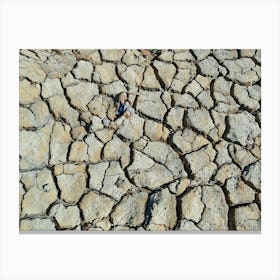 Cracked Earth Texture in Camargue. The image showcases a close-up view of cracked earth, revealing a network of intricate fissures and crevices. The dominant color is a muted gray, with subtle variations in shade and texture. The cracks are deep and pronounced, creating a sense of dryness and aridity. The overall mood is one of desolation and harshness, highlighting the effects of drought or lack of moisture. 3 Canvas Print