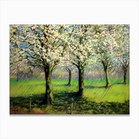 Flowering Trees (2014) Canvas Print