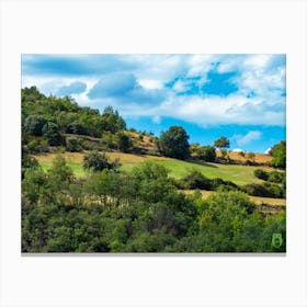 Hillside With Trees 2023081516164pub Canvas Print